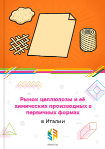 Рынок целлюлозы и её химических производных в первичных формах в Италии