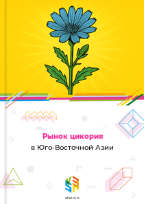 Рынок цикория в Юго-Восточной Азии