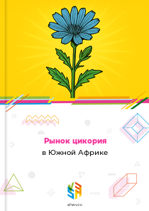 Рынок цикория в Южной Африке