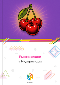 Рынок вишни в Нидерландах