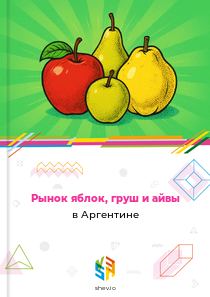 Рынок яблок, груш и айвы в Аргентине