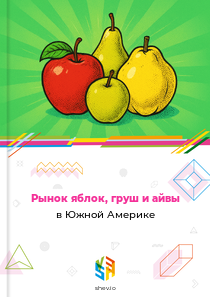 Рынок яблок, груш и айвы в Южной Америке
