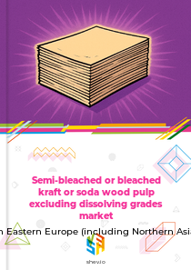 Semi-bleached or bleached kraft or soda wood pulp excluding dissolving grades market in Eastern Europe (including Northern Asia)