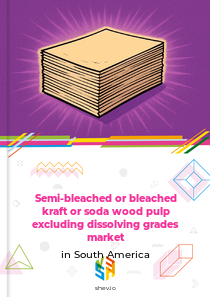 Semi-bleached or bleached kraft or soda wood pulp excluding dissolving grades market in South America