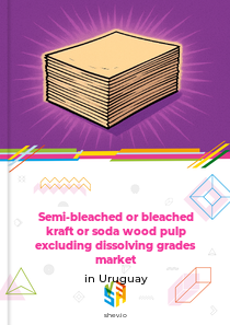 Semi-bleached or bleached kraft or soda wood pulp excluding dissolving grades market in Uruguay