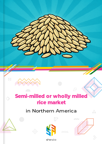 Semi-milled or wholly milled rice market in Northern America