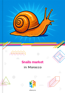 Snails market in Morocco