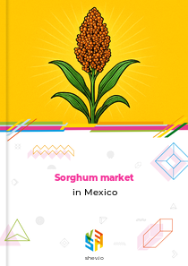 Sorghum market in Mexico