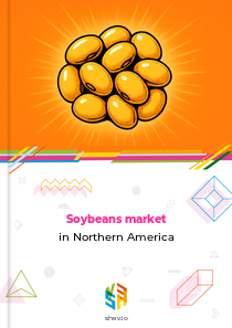 Soybeans market in Northern America