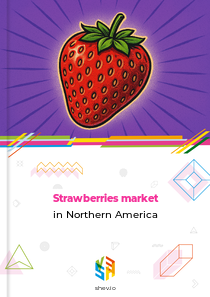 Strawberries market in Northern America