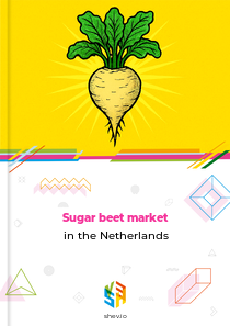 Sugar beet market in the Netherlands