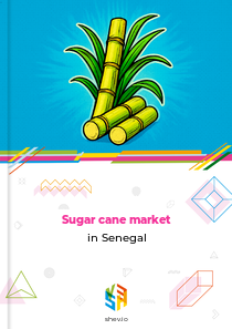 Sugar cane market in Senegal