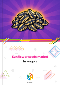 Sunflower seeds market in Angola
