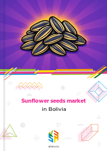 Sunflower seeds market in Bolivia