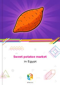 Sweet potatoe market in Egypt
