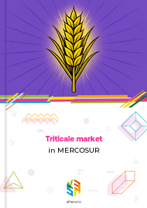 Triticale market in MERCOSUR