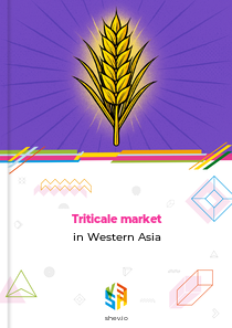 Triticale market in Western Asia