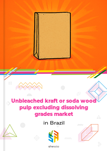Unbleached kraft or soda wood pulp excluding dissolving grades market in Brazil