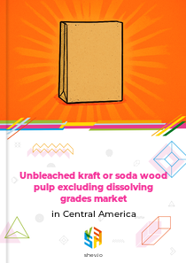 Unbleached kraft or soda wood pulp excluding dissolving grades market in Central America
