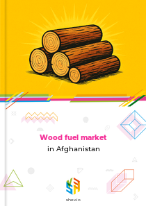 Wood fuel market in Afghanistan