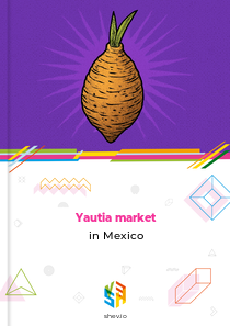 Yautia market in Mexico