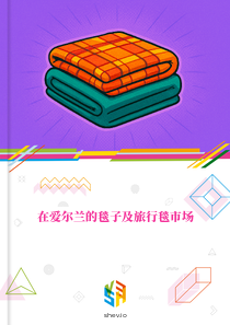在爱尔兰的毯子及旅行毯市场