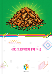 在巴拉圭的燃料木片市场