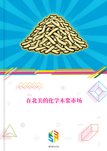 在北美的化学木浆市场