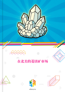 在北美的菱镁矿市场