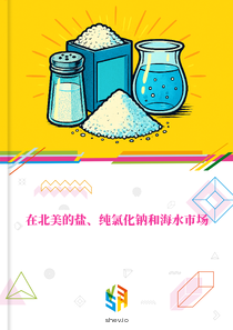 在北美的盐、纯氯化钠和海水市场