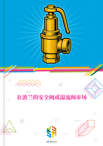 在波兰的安全阀或溢流阀市场