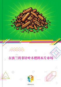 在波兰的非针叶木燃料木片市场