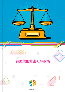 在波兰的精密天平市场