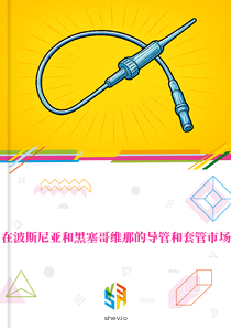 在波斯尼亚和黑塞哥维那的导管和套管市场