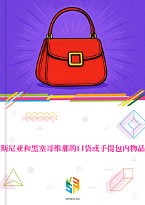 在波斯尼亚和黑塞哥维那的口袋或手提包内物品市场