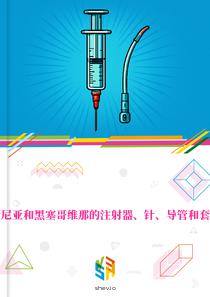 在波斯尼亚和黑塞哥维那的注射器、针、导管和套管市场