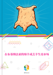 在布基纳法索的绵羊或羔羊生皮市场