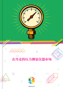 在丹麦的压力测量仪器市场