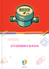 在丹麦的液体计量表市场