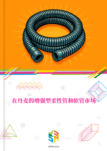在丹麦的增强型柔性管和软管市场