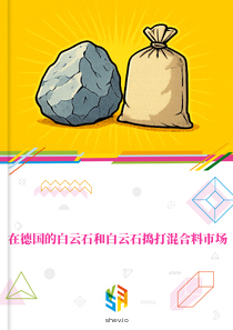 在德国的白云石和白云石捣打混合料市场