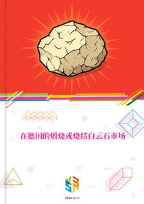 在德国的煅烧或烧结白云石市场