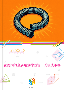 在德国的金属增强橡胶管，无接头市场