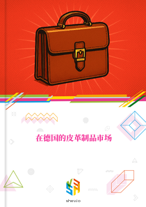 在德国的皮革制品市场