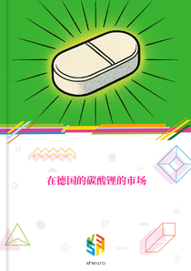 在德国的碳酸锂的市场