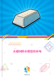 在德国的未锻造镁市场