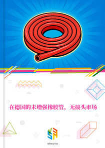 在德国的未增强橡胶管，无接头市场
