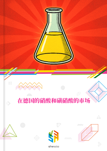 在德国的硝酸和磺硝酸的市场