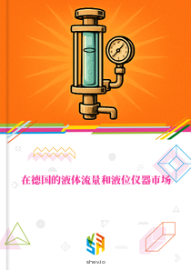 在德国的液体流量和液位仪器市场