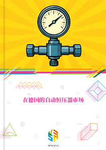 在德国的自动恒压器市场